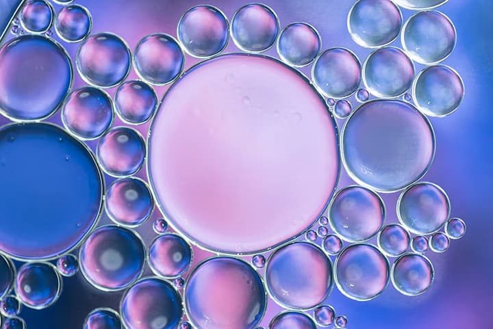 Healthy Gut Microbiome