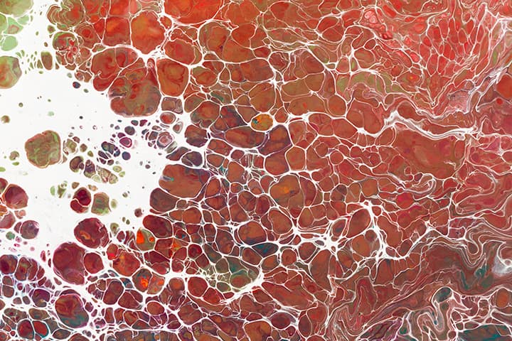 Scientific Citations